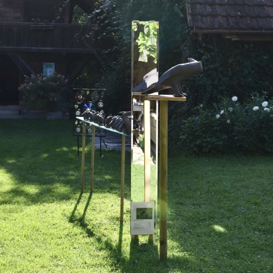 DSC_2475.JPG